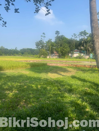 পূর্বাচল সাহাবী আবাসন প্রকল্প এ জমি/ রেডি প্লট বিক্রি